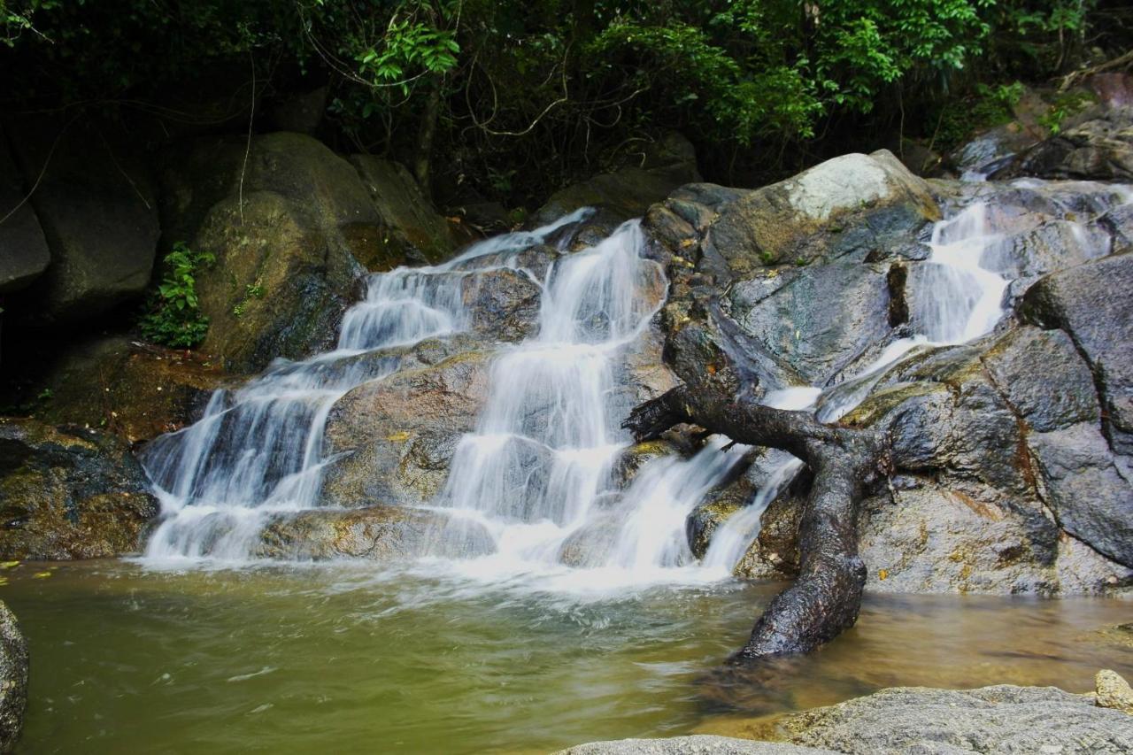 Oyo 479 Water Jade Natural Resort Thai Mueang Zewnętrze zdjęcie